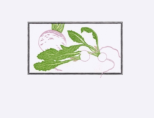 The Grape Fruit Moon   季節のご飯